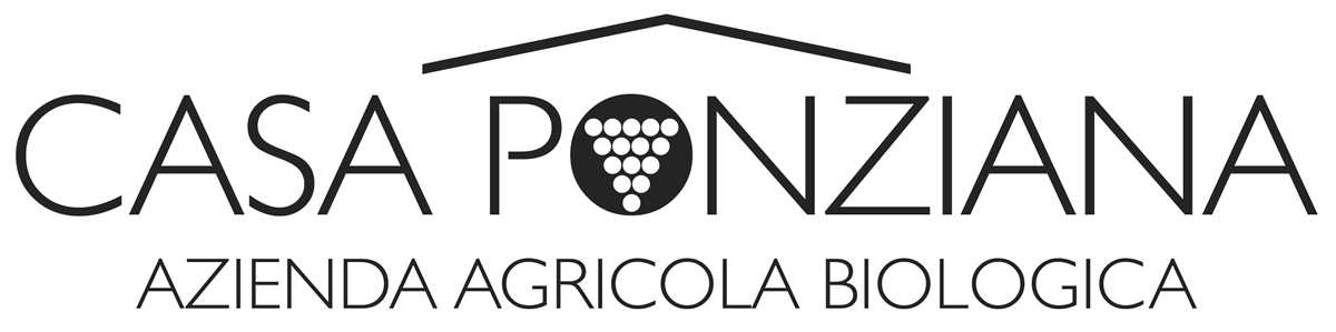 logo Casa Ponziana