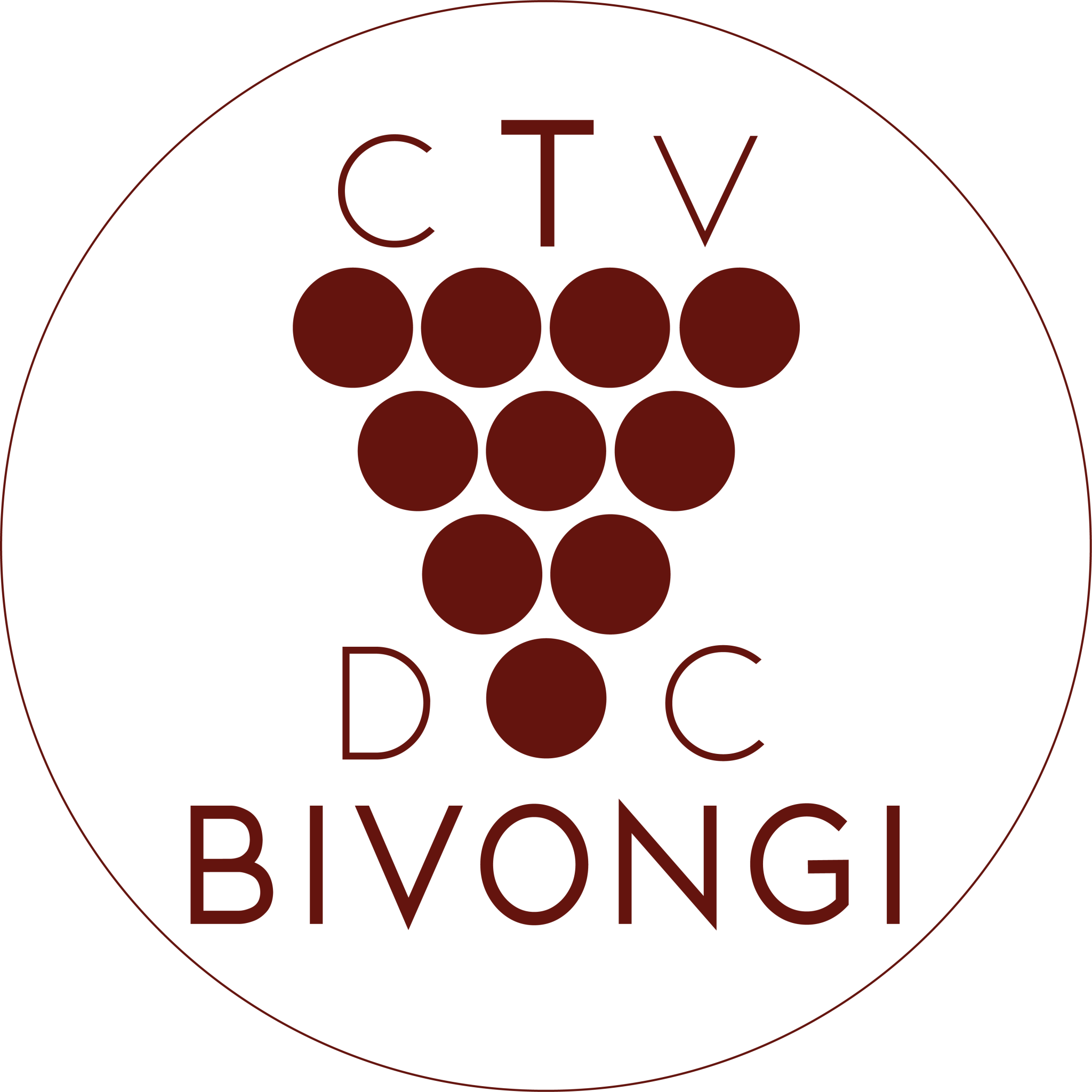 docbivongi.it