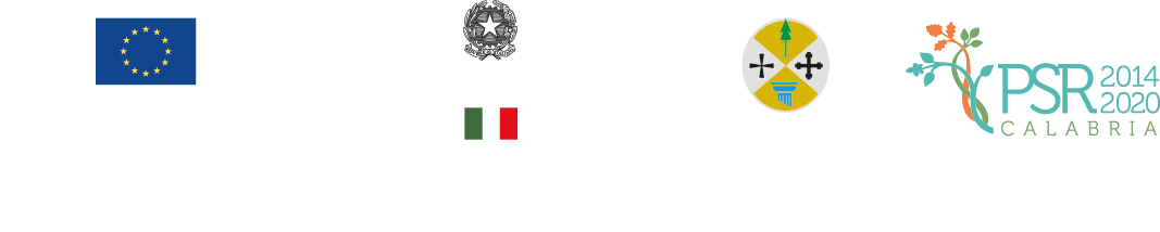 Loghi dell’iniziativa finanziata