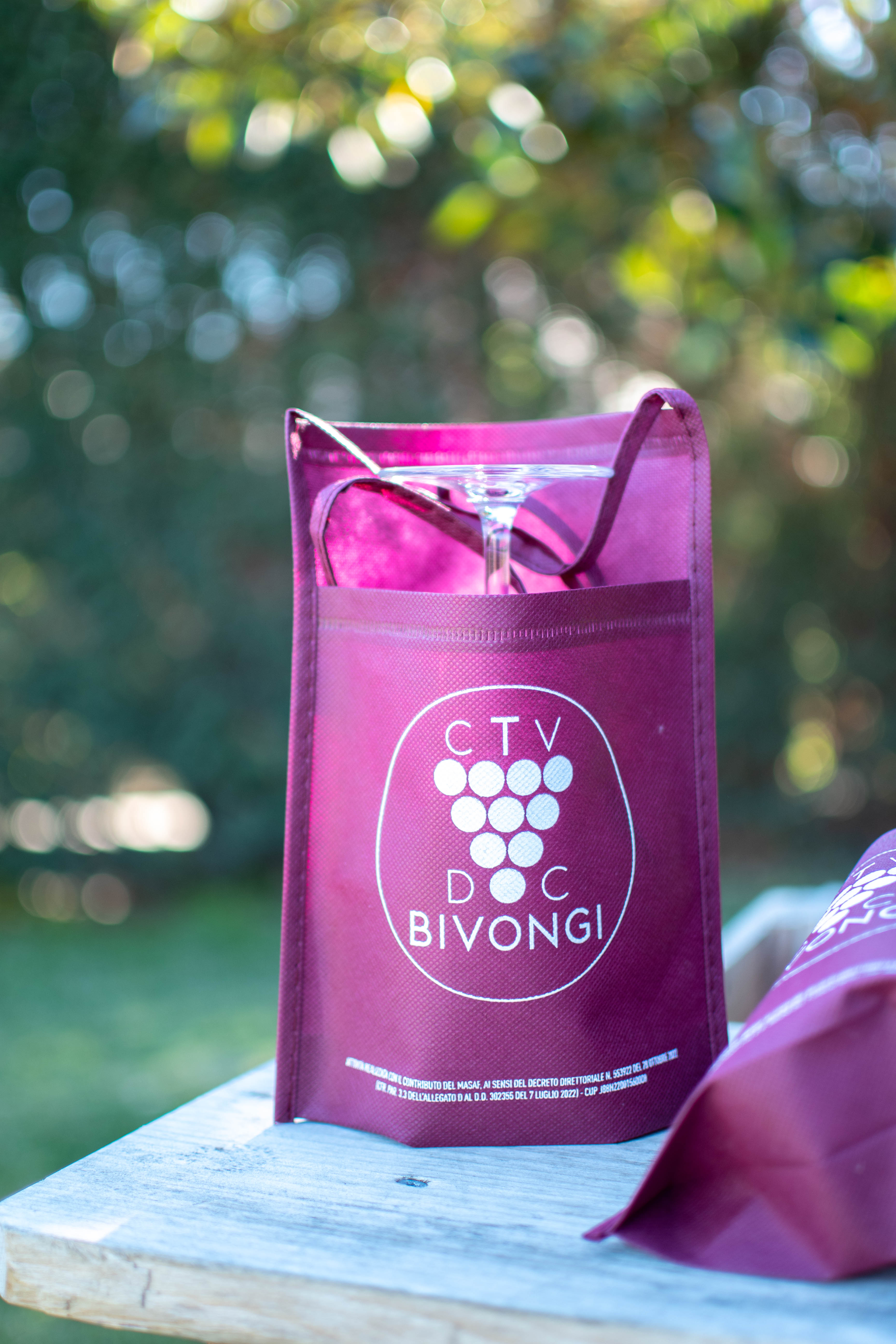 Bivongi Consortium activity