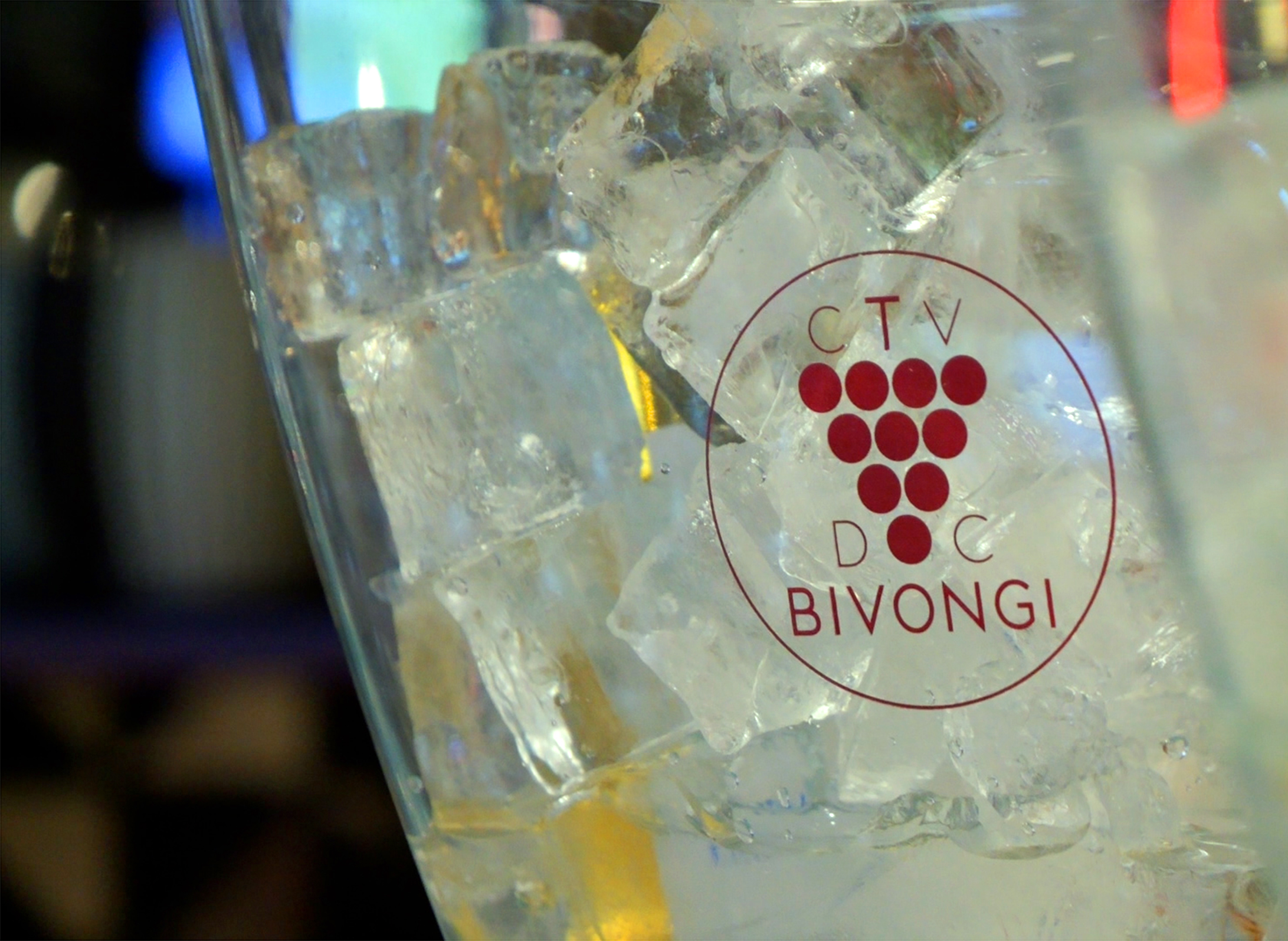 Bivongi Consortium activity