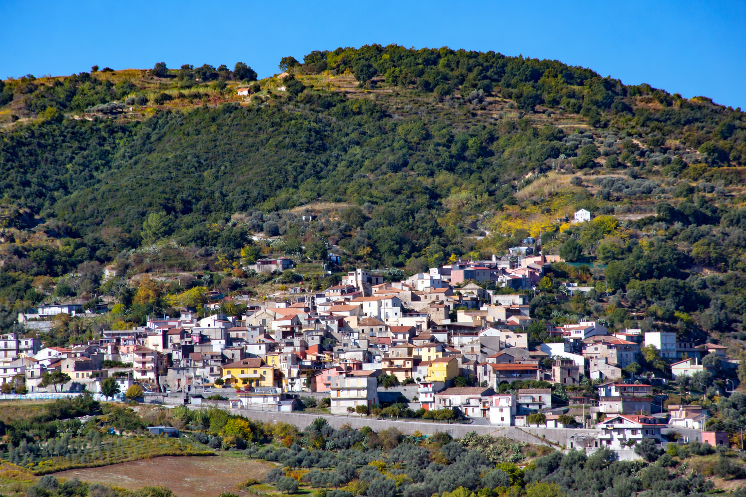 Camini