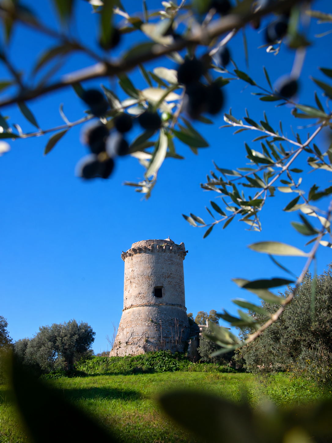 Caulonia