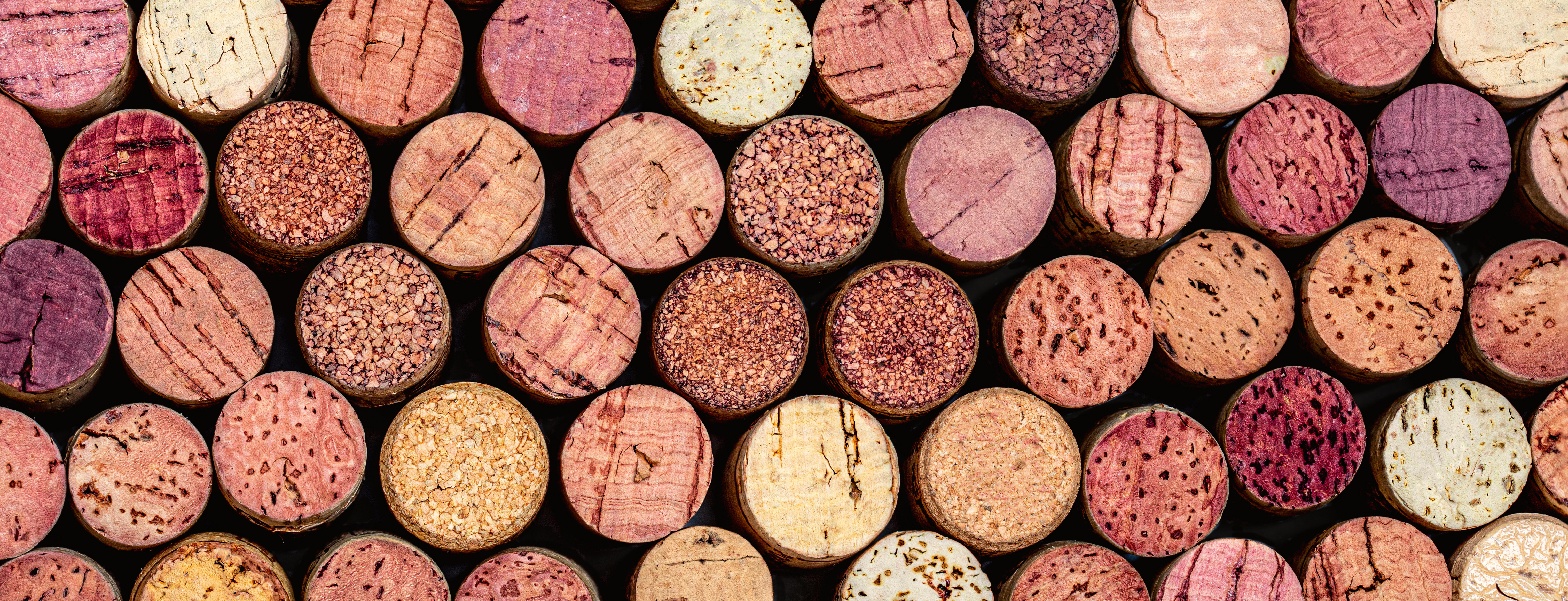 Produzione vinicola Bivongi