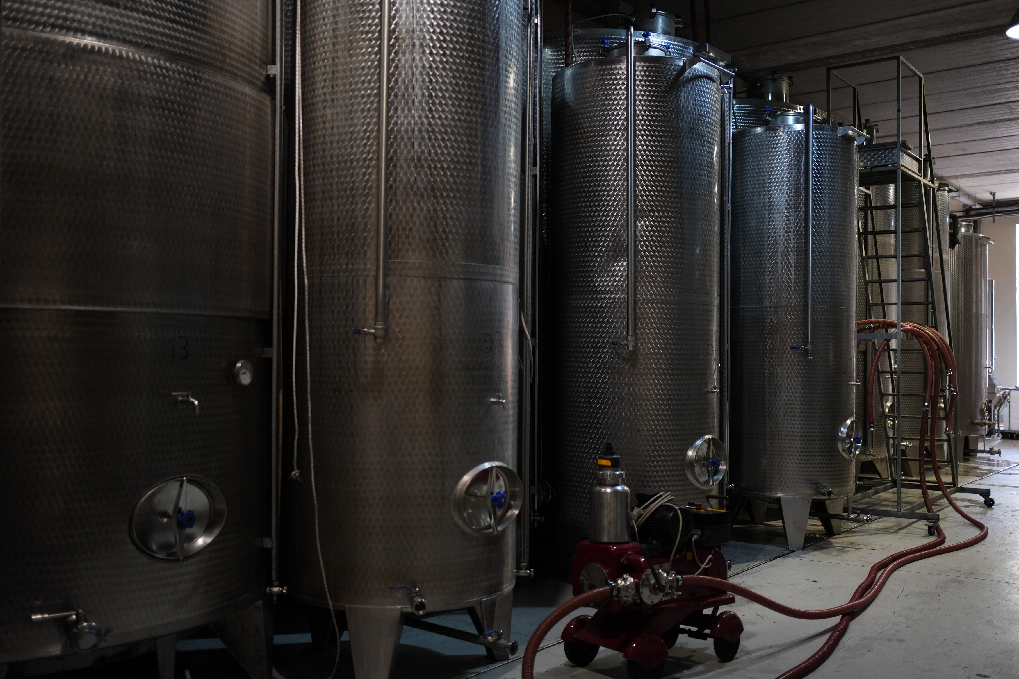 Produzione vinicola Bivongi