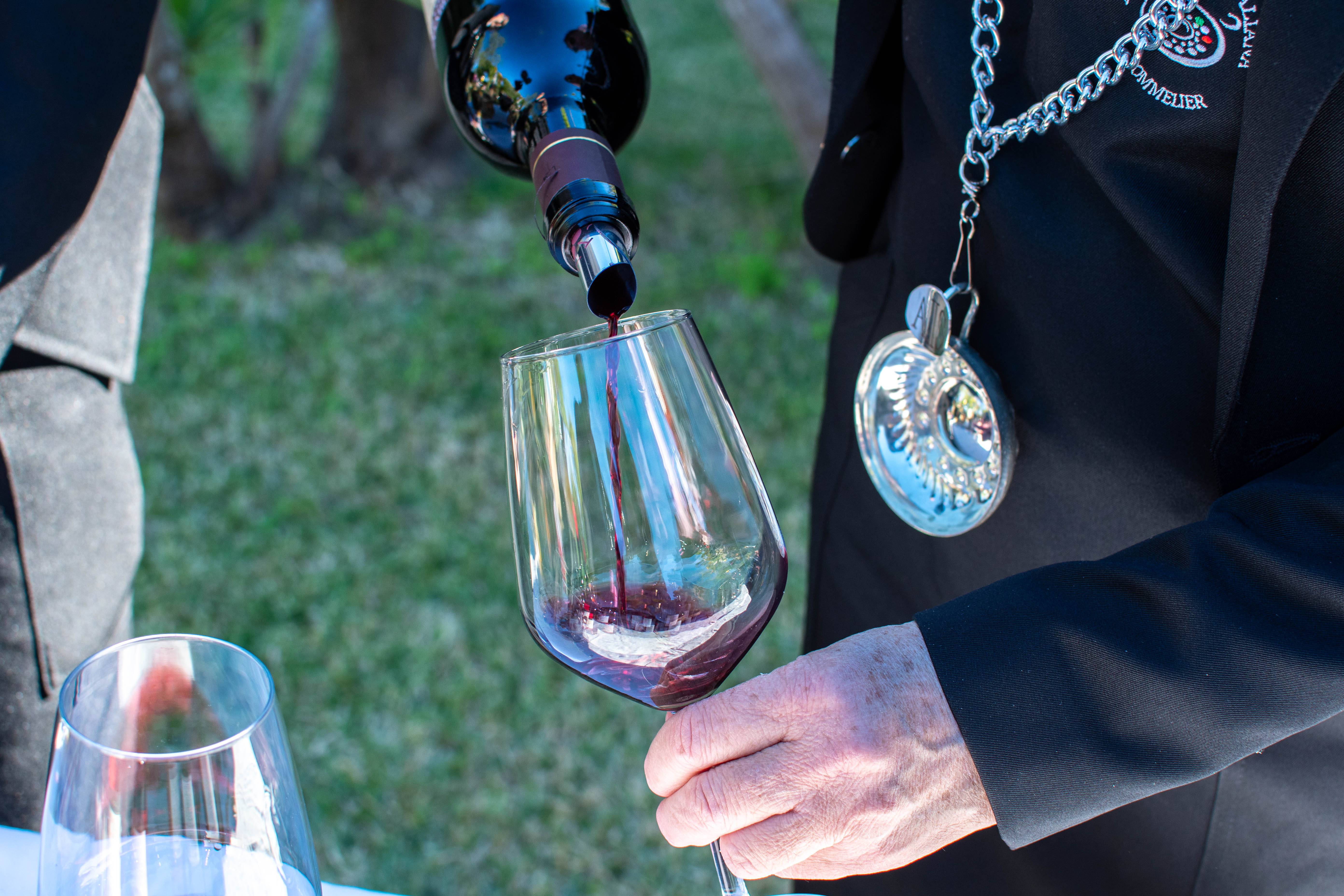 Produzione vinicola Bivongi