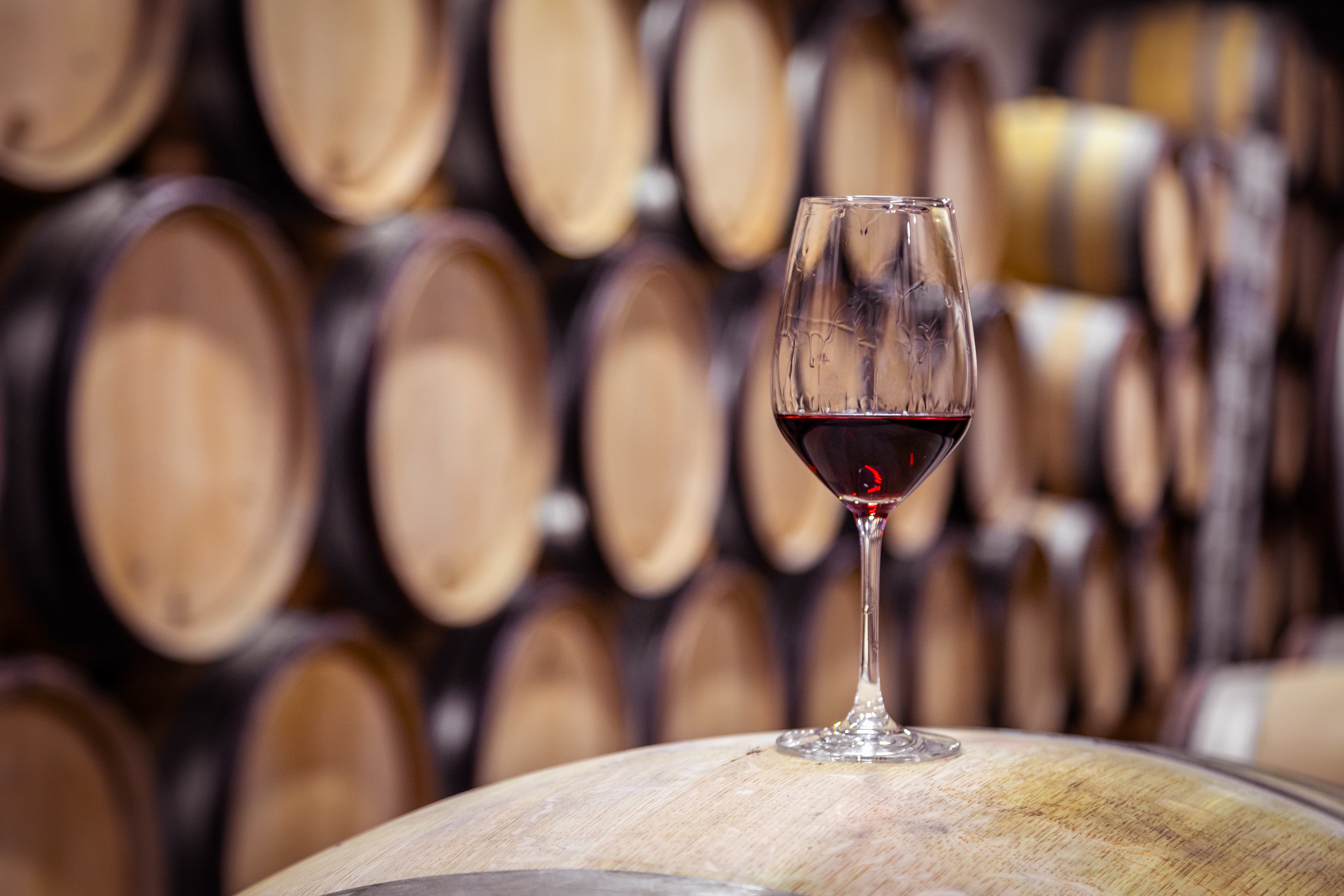 Produzione vinicola Bivongi